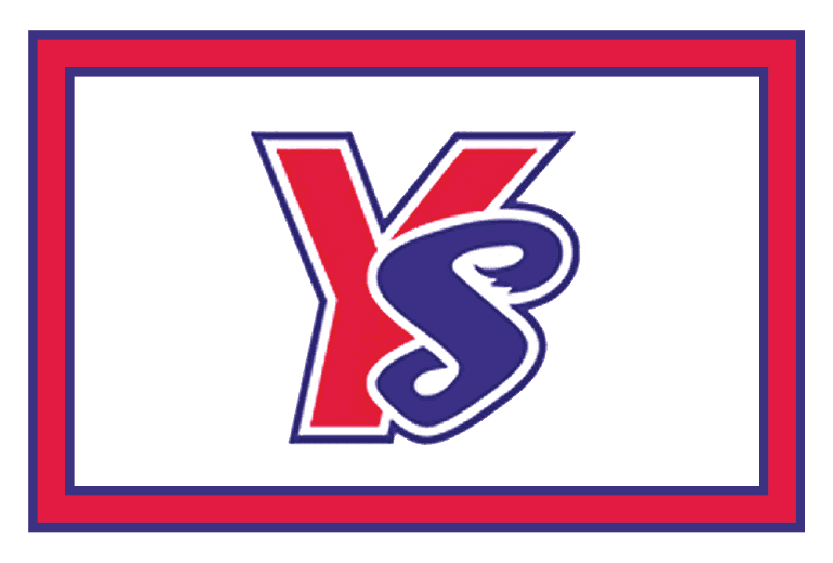 y-acronym-sports-logos-spor-repor